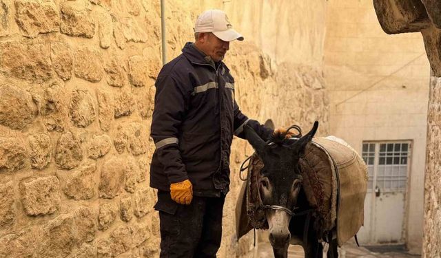 Mardin’de ’kadrolu’ eşekleri emekli edecek proje hayata geçiyor