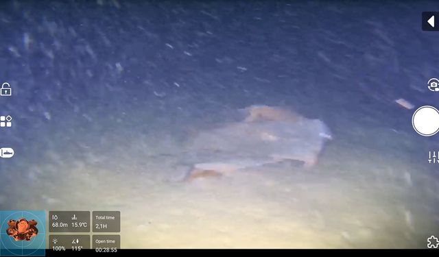 Marmara denizinin dibinde 50 yıllık sır ortaya çıkıyor