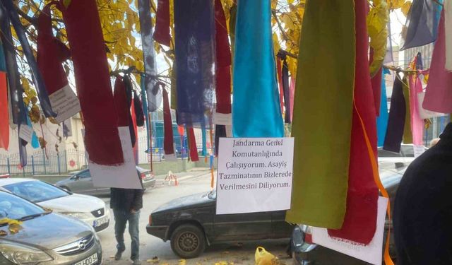 Memurlar bakanlığın önündeki ağacı ’dilek ağacı’na çevirdi