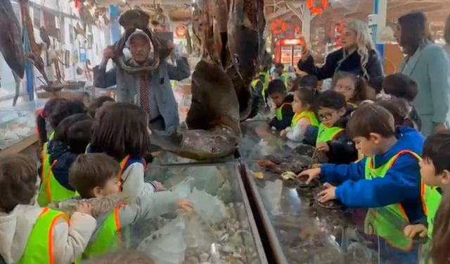 Minikler mumya balıkları büyük bir ilgiyle inceledi