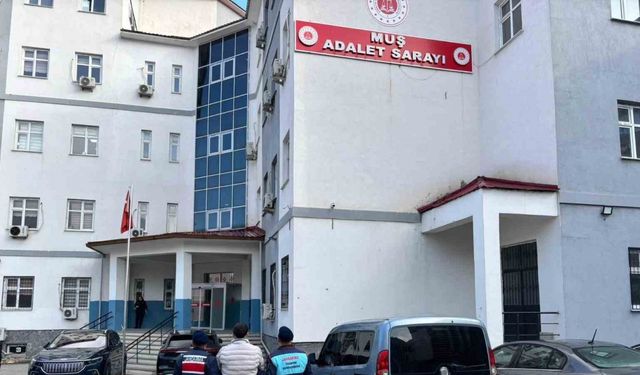 Muş’ta dolandırıcılık suçundan aranan hükümlü yakalandı