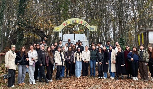 OMÜ’den sokak hayvanlarına destek: Barınağa 312 kilo mama bağışı