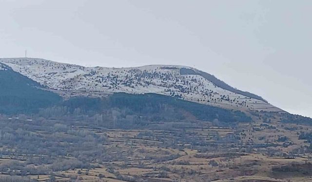 Posof kar yağışı sonrası beyaza büründü