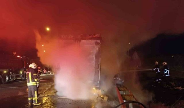 Şanlıurfa’da beyaz eşya yüklü tır alev alev yandı