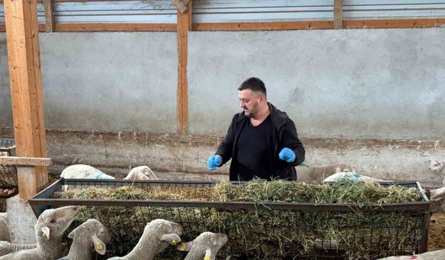 Şap mağduru üreticiler destek bekliyor