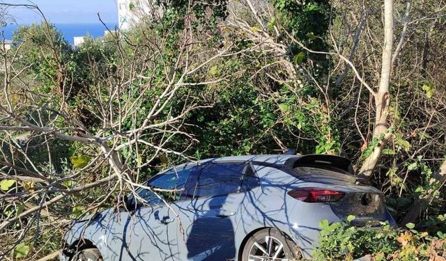 Sinop’ta kontrolden çıkan otomobil ağaçlık alana devrildi
