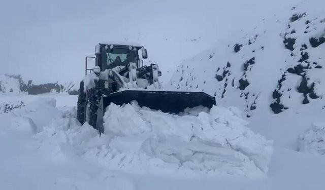 Şırnak’ta kar esareti: Beyaz örtü yarım metreyi geçti