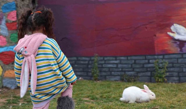 Sivrice Kadın Cezaevi, EuroPris’te 30 ülkeyi geride bırakarak birinciliği aldı