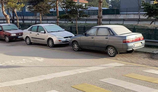 Soğuk hava sebebiyle çimler ve otomobil camları buz tuttu