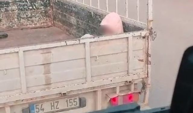 Soğuk havada yürek sızlatan yolculuk