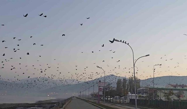 Tatvan sahilinde gökyüzünde sıra dışı manzara