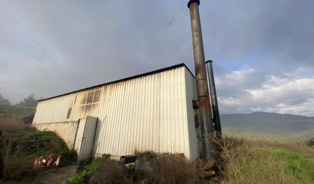 Tavuk çiftliğinde çıkan yangın korkuttu