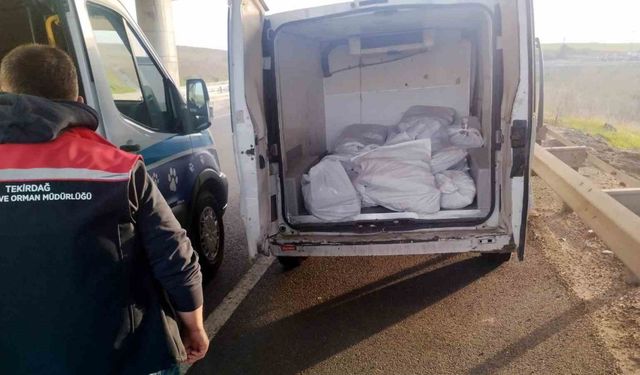 Tekirdağ’da 400 kilo menşei belirsiz kokoreç imha edildi
