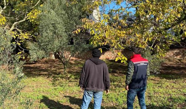 Tekirdağ’da ceviz bahçesinde hastalık ve zararlı kontrolü yapıldı