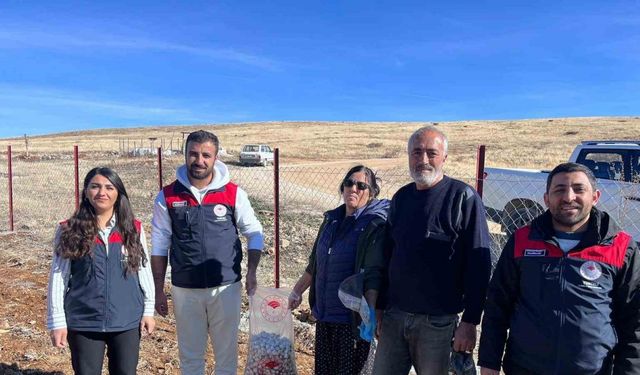 Tunceli’nin 4 ilçesinde sarımsak ekimi yapıldı