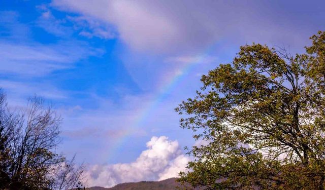 Yağıştan sonra gökyüzünde gökkuşağı oluştu