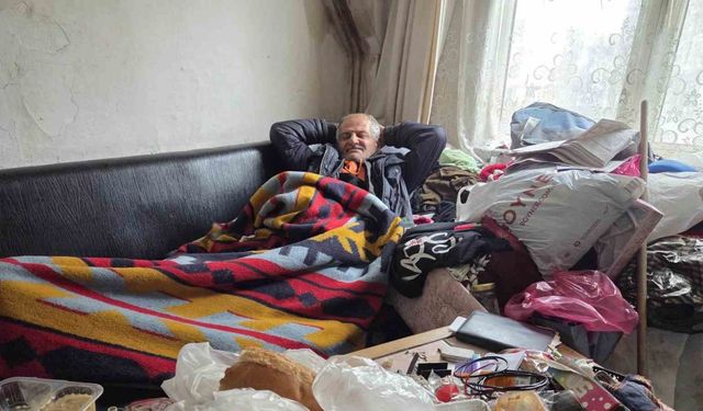 Yazın evinden 4 kamyon çöp çıkarıldı ama içeride hâlâ 2 kamyonluk çöp var