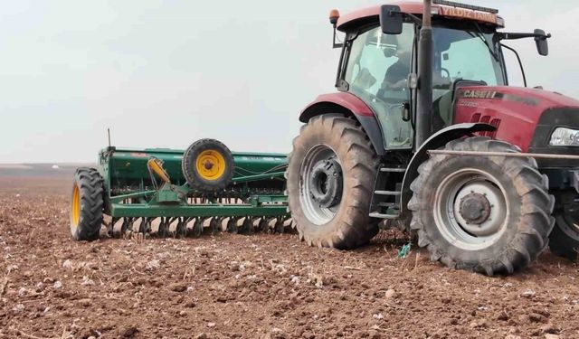 Yıldız Tarım, Mardin’de yerli tohum üretimini güçlendirip ihracatta hedef büyütüyor