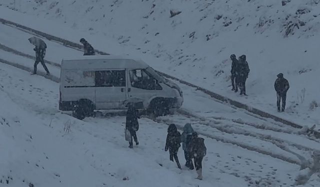 Yüksekova yoğun kara teslim oldu