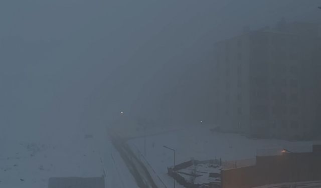 Yüksekova’da yoğun sis hayatı felç etti