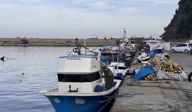 Zonguldak’ta hamsi yoğunluğu yaşandı, palamut çıkmadı