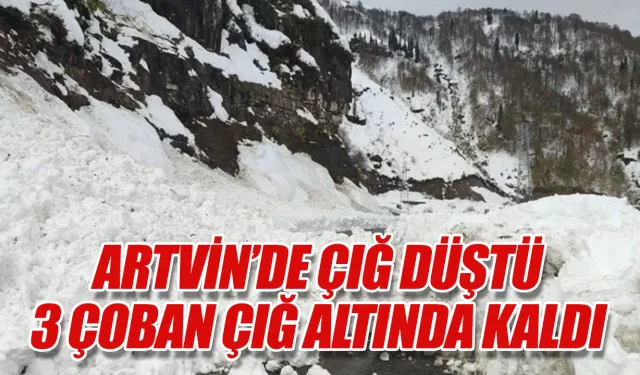 Artvin'in Ardanuç ilçesi Aksu Yaylası'nda çığ düştü