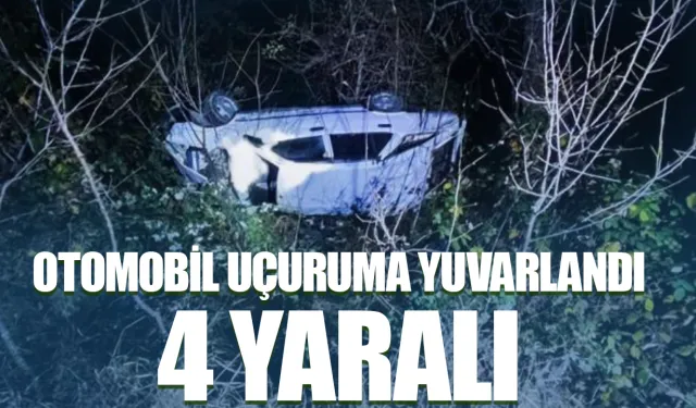 Artvin’in Ardanuç ilçesinde otomobil uçuruma yuvarlandı: 4 yaralı