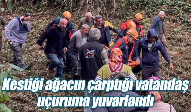 Kestiği ağacın çarptığı vatandaş uçuruma yuvarlandı