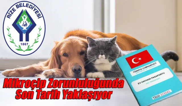 Kedi ve Köpek sahipleri dikkat! Son Tarih Yaklaşıyor