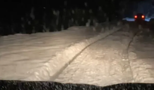 Çamlıhemşin ilçesine bağlı Avusor ve Huser yaylalarında kar yağışı etkili oldu