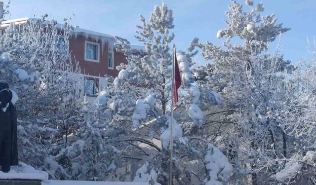 Aşkale'de dondurucu soğuklar hayatı felç etti