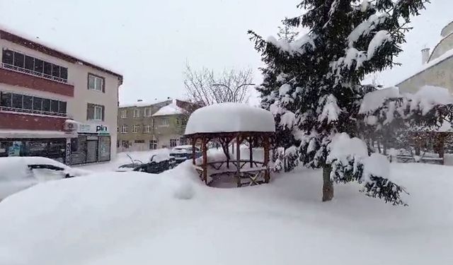 Başçiftlik kar altında kaldı