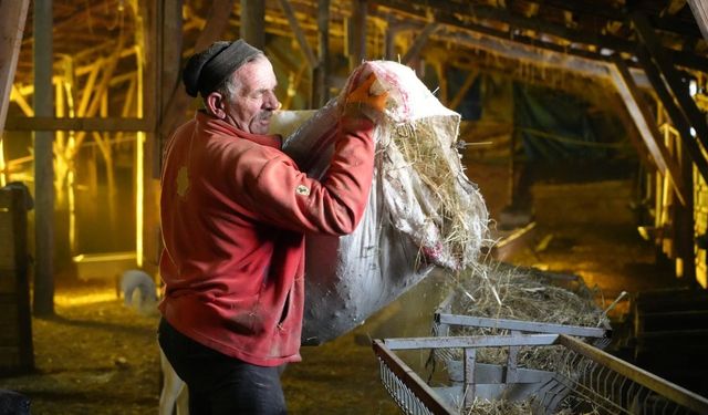 Bayburtlu besici zorlu kış şartlarına rağmen 140 hayvanını sevgiyle büyütüyor