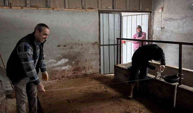 Bilecik'te büyükbaş hayvancılık işletmelerinde kapasite kontrolleri