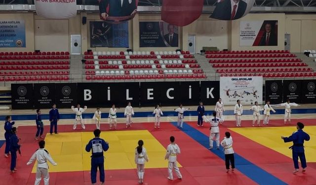 Bilecik'te judo spor okullarıyla gençler, geleceğe hazırlanıyor