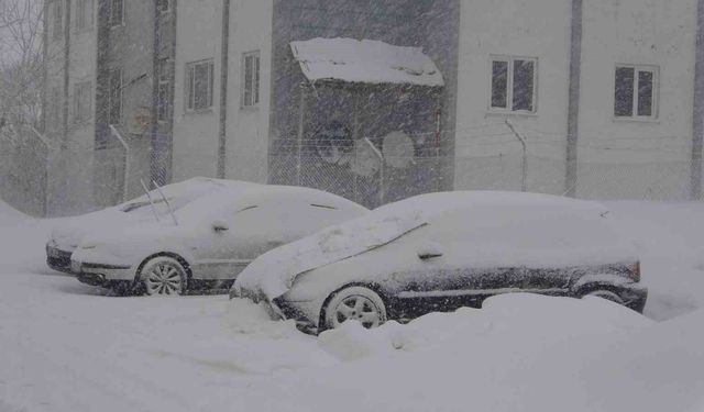 Bitlis'te 51 köy yolu ulaşıma kapandı