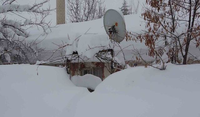 Bitlis'te tek katlı evler kardan kayboldu, 314 köy yolu ise ulaşıma kapandı