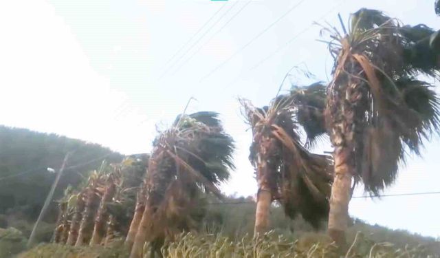 Bodrum, Datça ve Marmaris kıyılarına fırtına uyarısı