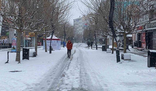 Bolu güne beyaz örtüyle uyandı
