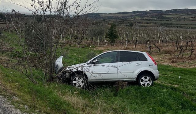 Buldan'da aynı yolda ikinci kaza, otomobil üzüm bağına uçtu