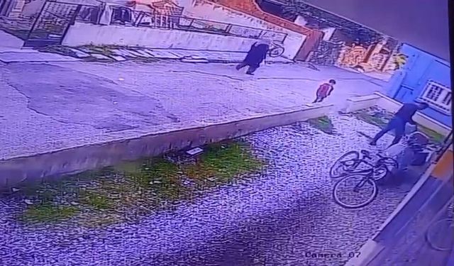 Çocukların gözü önünde köpeği katletti