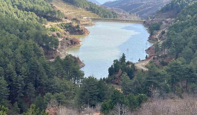 Denizli'de göletlerin doluluk oranları yağışlara rağmen istenilen seviyeye ulaşmadı