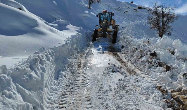 Diyarbakır'da kapalı yolların açılması için çalışmalar sürüyor