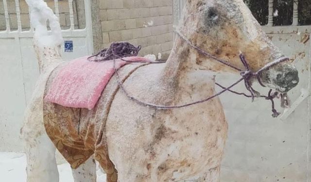 Diyarbakır'ın en güzel kardan adamı seçildi