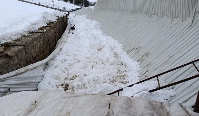 Elazığ'da ahırın tavanı çöktü