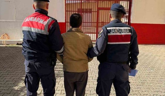 Firari şahıs Koçarlı'da yakalandı