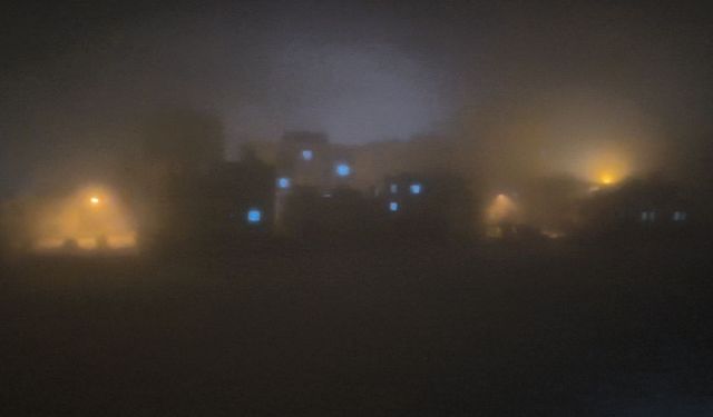 Gercüş'te sis etkili oldu