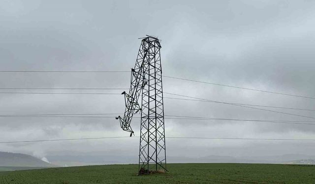 Gerilim hattındaki hırsızlıkta direkler devrildi, alternatif hatlar sayesinde ilçe elektriksiz kalmadı