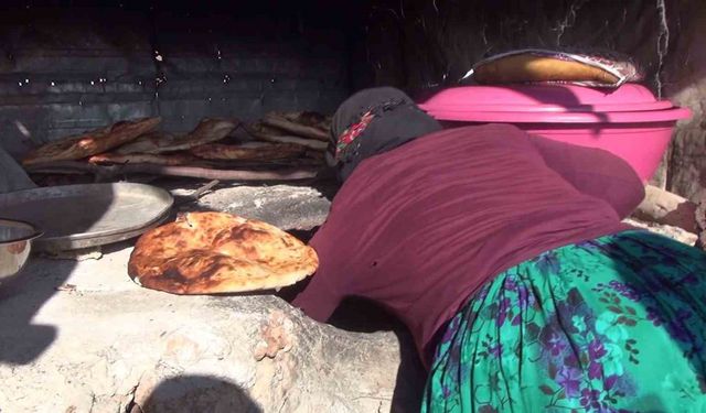 Göç yollarında bir ömür: Gabar Dağı eteklerinde konar göçerlerin sessiz direnişi