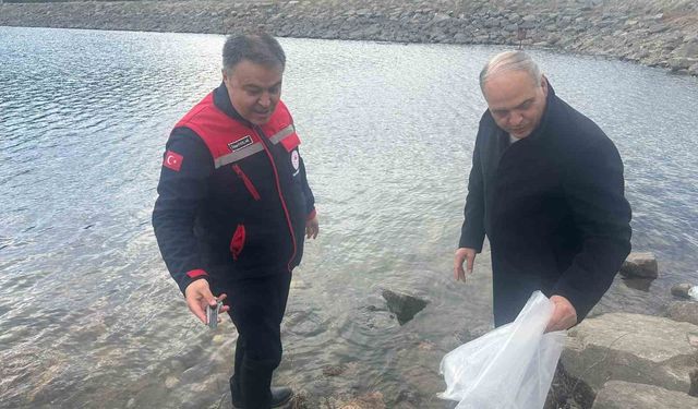 Göl ve göletlerde balıklandırma çalışması